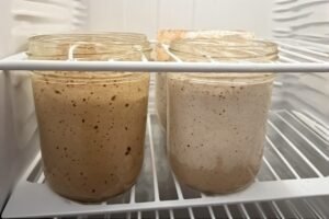 Can You Use Sourdough Starter Straight from the Fridge?