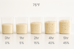 Bulk Fermentation Chart at 75°F