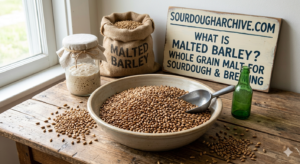 what is malted barley