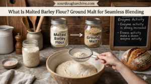 what is malted barley flour