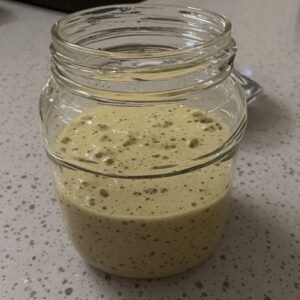 Rye Sourdough Starter